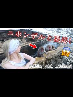 [x]ニホンザルと外国人一緒に混浴温泉入った♨️🐒 長野旅館 - YouTube