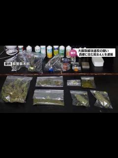 [x]大麻取締法違反の疑いで西都市の男女4人を逮捕 うち2人はコカインを使用した疑いも - YouTube