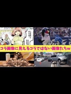 [x]コラ画像に見える本当の画像をいろいろまとめてみたぞーー！！！！！！需要があれば第2弾も制作するぞーー！！！ - YouTube