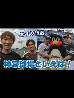 [x]【セ・パ交流戦】神宮球場にやってきた！つば九郎先生ともぱちり！ - YouTube