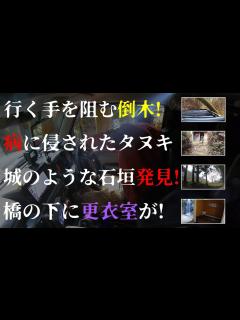 [x]林道は発見と刺激の宝庫!だから林道冒険は止められない! - YouTube