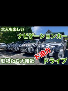 [x]【ナビゲーションカーで動物達に大接近 大人も楽しめるド迫力ドライブ】富士サファリパークと沼津港 車中泊ドライブ① - YouTube