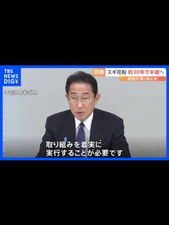 [x]花粉症被害軽減へ花粉発生量を30年で約半減へ スギの人工林の面積を10年後に2割程度減らす 政府関係閣僚会議で対策全体像まとまる｜TBS ...