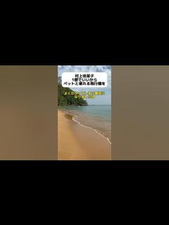 [x]村上佳菜子、ペットと乗れる飛行機を作って欲しい… #shorts - YouTube