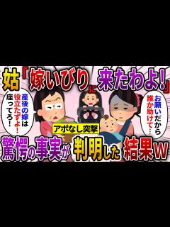 [x]【2ch スカっと】双子を出産直後、我が家に突撃してきた姑「嫁いびりに来たわよ！」→突然双子を奪い我が物顔で家に上がり込むと…【ゆっくり解説 ...