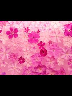 [x]ピンク・レディー ペッパー警部 (pink lady) (1976) - YouTube