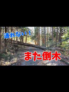 [x]#138「林道の倒木」 - YouTube