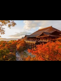 [x]京都に来たら外せない神社仏閣 10 選 - 一生に一度は行ってみたい人気のお寺や神社を厳選 - Go Guides