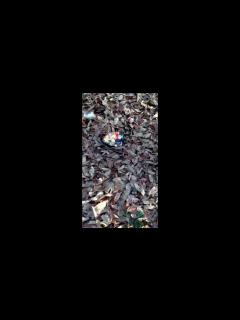 [x]ウクライナ21 - YouTube