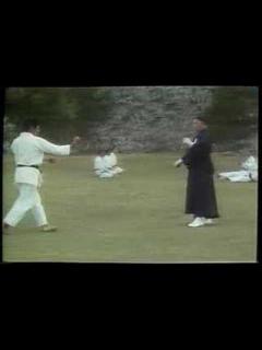 [x]本部御殿手の取手 - Motobu Udundi Tuiti - - YouTube