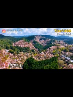 [x]『世界遺産』1/7(日) 新春特別企画 四季で巡る！日本の聖地【TBS】 - YouTube