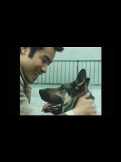 [x]【太陽にほえろ】テキサスとナポレオン（警察犬ジュン）の再会 - YouTube