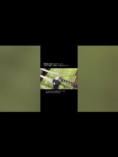 [x]【ロンギヌスの槍制作動画Part⑫】塗装#エヴァンゲリオン #evangelion #まちエヴァ #ロンギヌスの槍 #山口県 #宇部市 ...