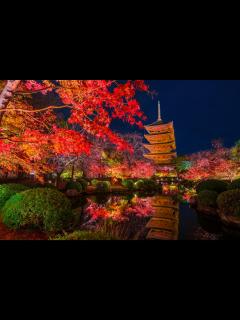 [x]京都の紅葉名所ランキング27選「2020年」はいつがベストな見頃？綺麗に 色づく紅葉の名所スポットから 穴場までを紅葉の見頃の時期と合わせてご ...