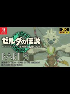 [x]#8【ゼルダの伝説】ティアーズオブザキングダム攻略：チューリとの出会い、鳥人族のリトの村【ZELDA TOTK】 - YouTube
