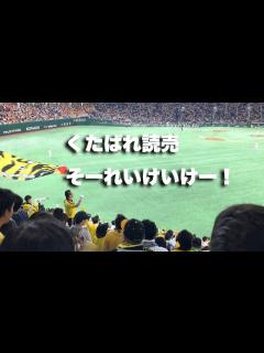 [x]【消えゆく応援風景】くたばれ読売そーれいけいけー！ - YouTube