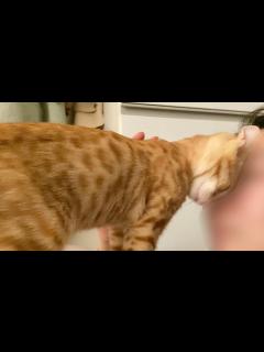 [x]何度も会えば好きになる？頻繁に通うお客様 - YouTube
