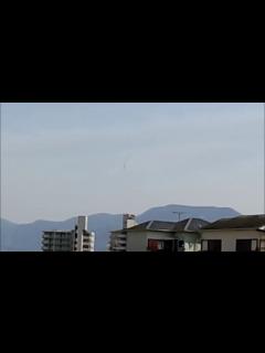 [x]未確認飛行物体か？未確認生物か？ - YouTube